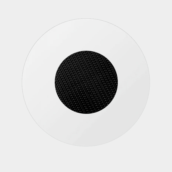 a white circle with a black dot in the center.